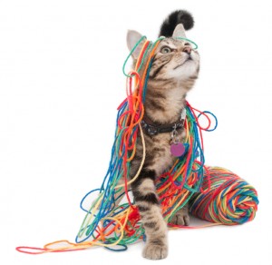 Kitten Wrapped in Colorful Yarn